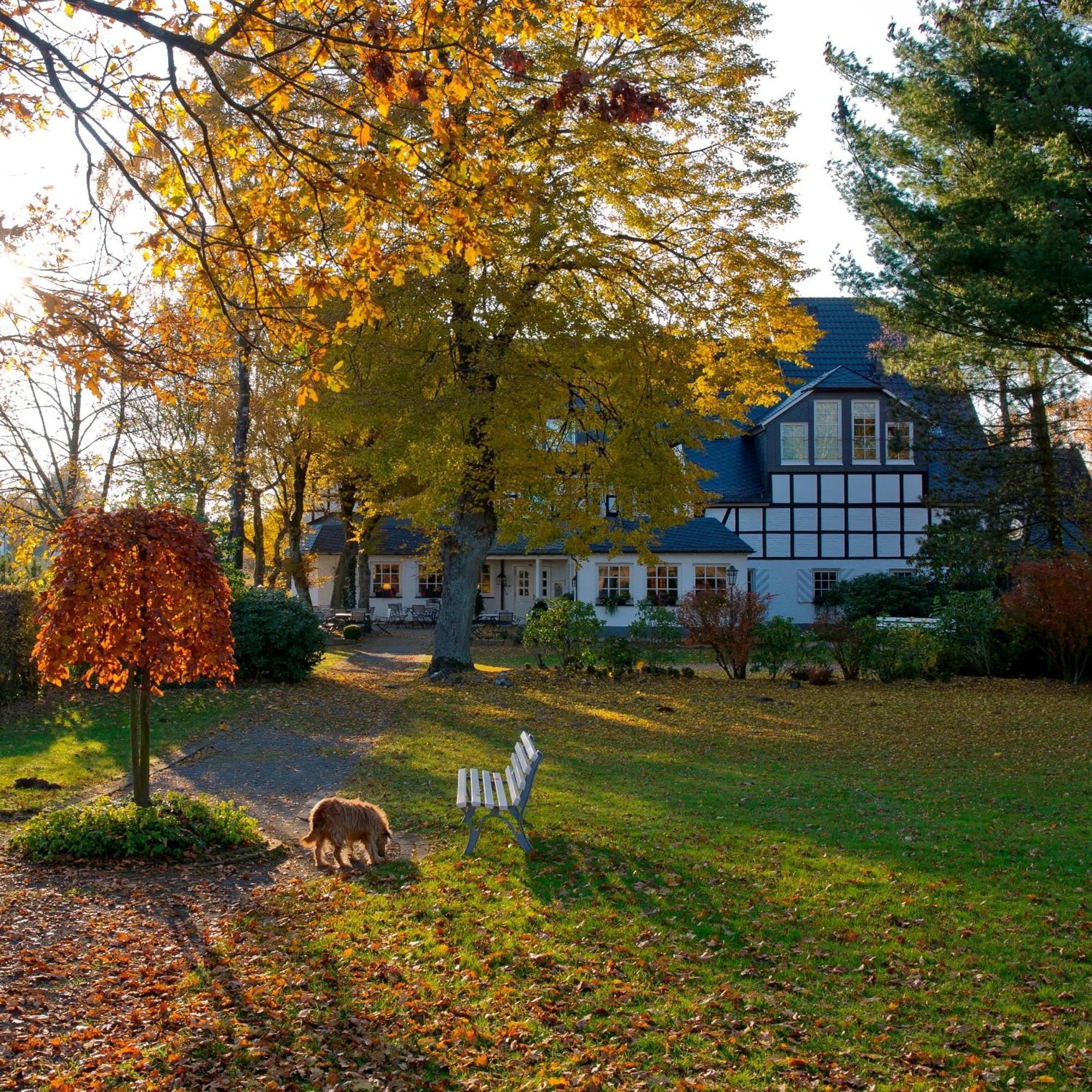 Hotel Waldhaus Foeckinghausen Bestwig Bagian luar foto