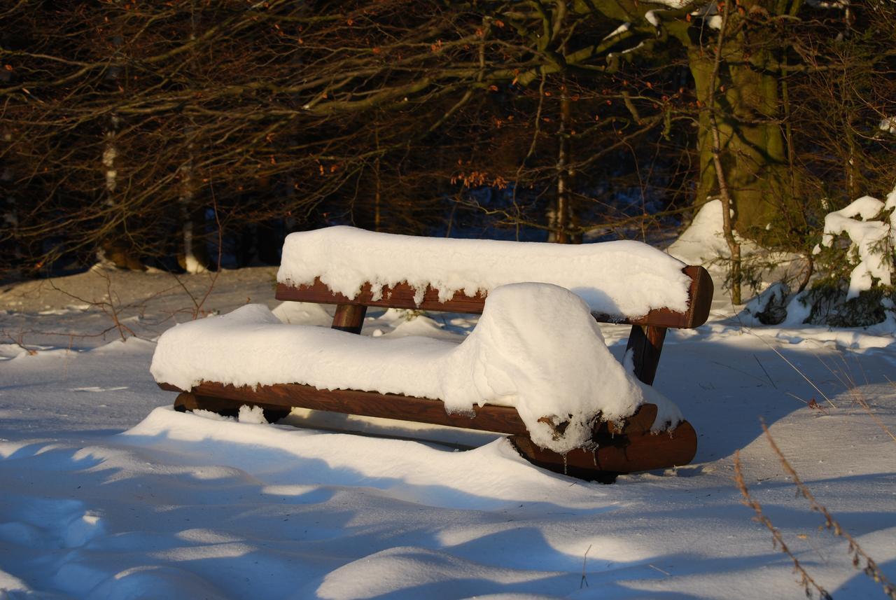 Hotel Waldhaus Foeckinghausen Bestwig Bagian luar foto